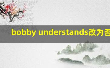 bobby understands改为否定句